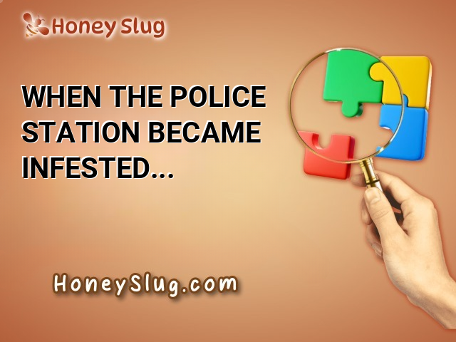 When the police station became infested with flies, everyone joined the