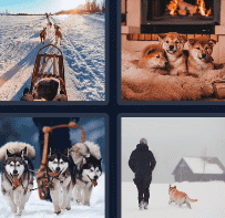 4 Pics 1 Word Daily Puzzle 15 December 2024