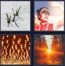 4 Pics 1 Word Daily Bonus Puzzle November 14 2024 Answers