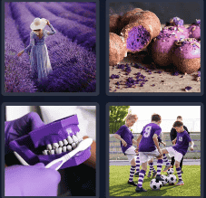 4 Pics 1 Word Daily November 8 2024 Answers