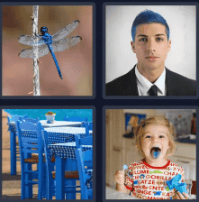 4 Pics 1 Word Daily Puzzle November 12 2024 Answers