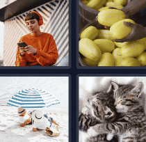 4 Pics 1 Word Daily Puzzle November 19 2024 Answer