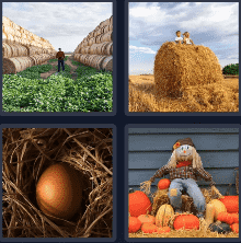 4 Pics 1 Word Daily 8 October 2024 Answer