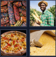 4 Pics 1 Word Daily 9 October 2024 Answer