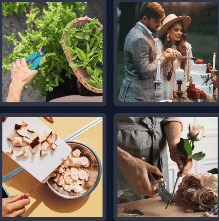 4 Pics 1 Word Daily Bonus Puzzle October 20 2024 Answer