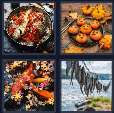 4 Pics 1 Word Daily October 13 2024 Answers