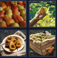 4 Pics 1 Word Daily Puzzle October 17 2024 Answer