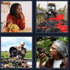 4 Pics 1 Word Daily Puzzle October 19 2024 Answer