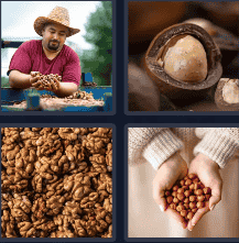 4 Pics 1 Word Daily Puzzle October 20 2024 Answer