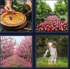 4 Pics 1 Word Daily Puzzle October 21 2024 Answer