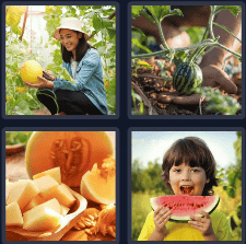 4 Pics 1 Word Daily Puzzle October 23 2024 Answer