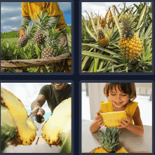 4 Pics 1 Word Daily Puzzle October 25 2024 Answer