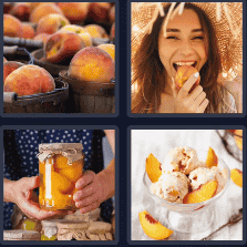 4 Pics 1 Word October Daily Puzzle October 27 2024 Answer