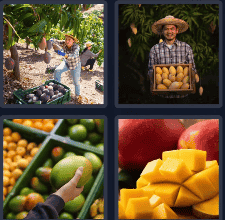 4 Pics 1 Word Daily Puzzle October 29 2024 Answer