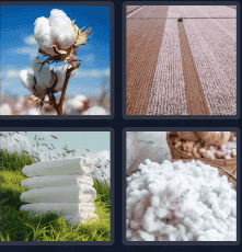 4 Pics 1 Word Daily Puzzle October 30 2024 Answer