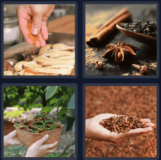 4 Pics 1 Word Daily Puzzle October 31 2024 Answer