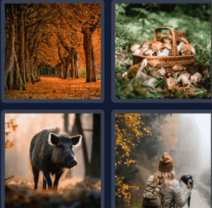 4 Pics 1 Word Bonus 1 October 2024 Answer